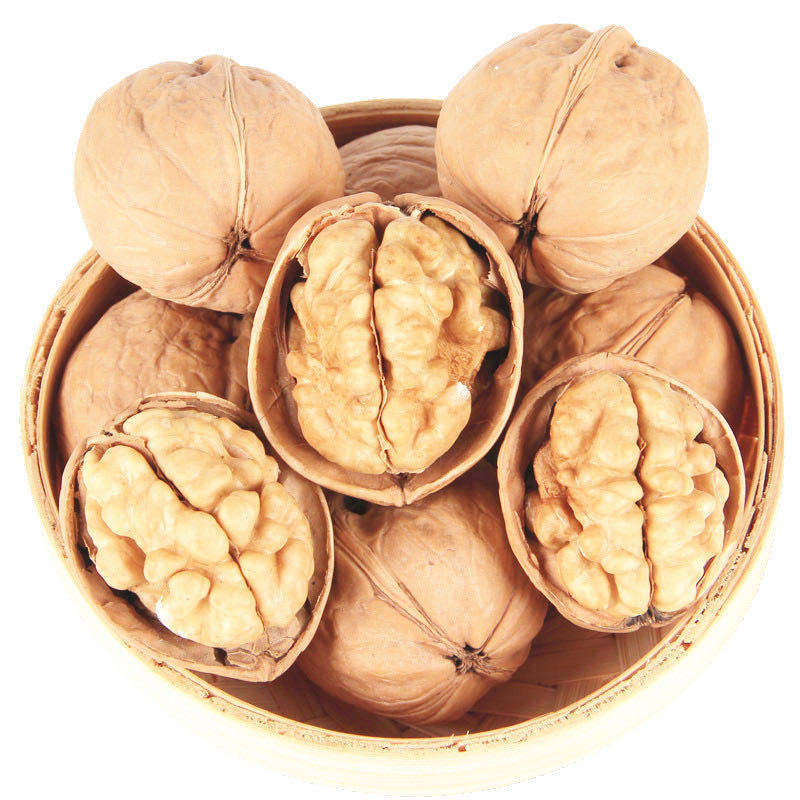 Walnuts in Shell - Image 2