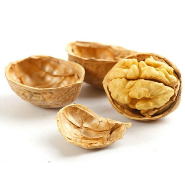 Walnut Kernels - Image 2